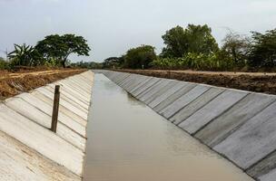 A view of a concrete wall attached to the soil. photo