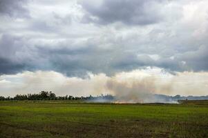 Views of dense smoke drifting from the burning of rice stubble in rice fields. photo