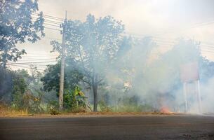 Views of burning grass and weeds on paved roads pollute clouds. photo