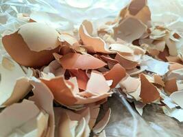 Close up of a pile of peeled egg shells photo