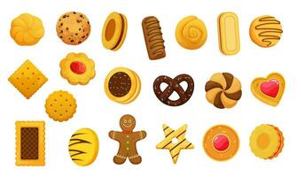 Cartoon chocolate, cracker and gingerbread cookies vector