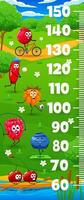 Kids height chart meter, cartoon cheerful berries vector