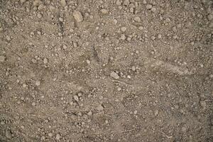 Brown crushed soil peat field texture may be used as a  background wallpaper photo