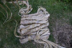 A thick brown  bundle of raw jute has on the ground photo