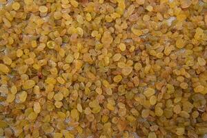 Dried fruits Yellow sweet delicious raisins pattern texture can be used as a background wallpaper photo