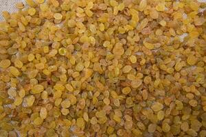 Dried fruits Yellow sweet delicious raisins pattern texture can be used as a background wallpaper photo