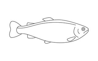 Trout art line, salmon, taimen, seafood and underwater color animal. Water delicacy, gourmet. Fishing. Coloring for children. Vector illustration isolated on white background