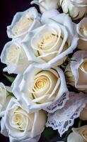 flower white rose on black background, wallpaper, design, photo