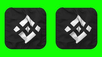 binance bandera icono en escudero forma aislado con llanura y bache textura, 3d representación, verde pantalla, alfa mate video