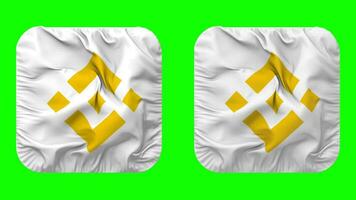binance bandera icono en escudero forma aislado con llanura y bache textura, 3d representación, verde pantalla, alfa mate video