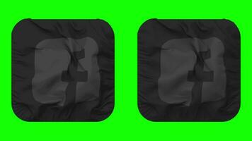 Facebook, FB Flag Icon in Squire Shape Isolated with Plain and Bump Texture, 3D Rendering, Green Screen, Alpha Matte video
