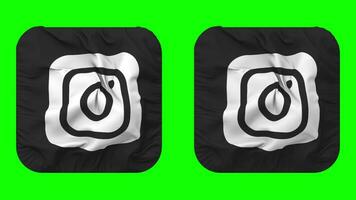 Instagram bandeira ícone dentro escudeiro forma isolado com avião e colisão textura, 3d Renderização, verde tela, alfa fosco video