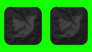 Twitter drapeau icône dans écuyer forme isolé avec plaine et bosse texture, 3d le rendu, vert filtrer, alpha mat video