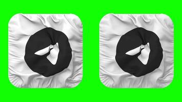 Telegram Flag Icon in Squire Shape Isolated with Plain and Bump Texture, 3D Rendering, Green Screen, Alpha Matte video