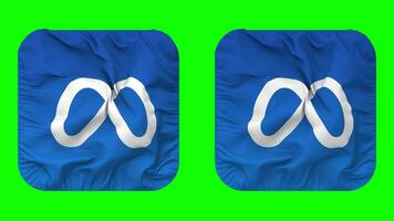 Meta Flag Icon in Squire Shape Isolated with Plain and Bump Texture, 3D Rendering, Green Screen, Alpha Matte video
