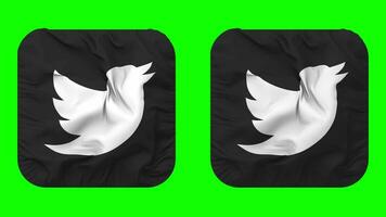 Twitter drapeau icône dans écuyer forme isolé avec plaine et bosse texture, 3d le rendu, vert filtrer, alpha mat video