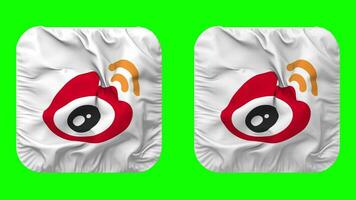 Weibo bandera icono en escudero forma aislado con llanura y bache textura, 3d representación, verde pantalla, alfa mate video