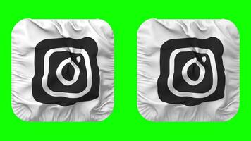 instagram bandera icono en escudero forma aislado con llanura y bache textura, 3d representación, verde pantalla, alfa mate video