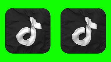 tiktok bandeira ícone dentro escudeiro forma isolado com avião e colisão textura, 3d Renderização, verde tela, alfa fosco video