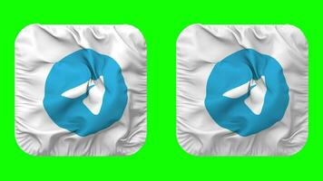 Telegram Flag Icon in Squire Shape Isolated with Plain and Bump Texture, 3D Rendering, Green Screen, Alpha Matte video