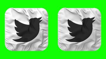 Twitter drapeau icône dans écuyer forme isolé avec plaine et bosse texture, 3d le rendu, vert filtrer, alpha mat video