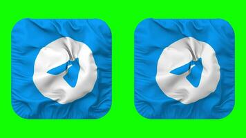 Telegram Flag Icon in Squire Shape Isolated with Plain and Bump Texture, 3D Rendering, Green Screen, Alpha Matte video