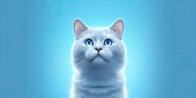 Cat portraite on minimal blue background for banners photo