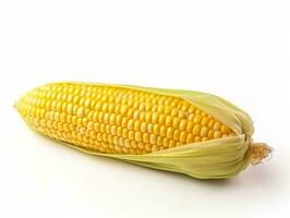 un maíz aislado en un blanco antecedentes foto