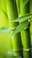 Bamboo Closeup. A Fresh Look at an Ancient Plant. AI Generative photo