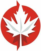 maple leaf illustration vector