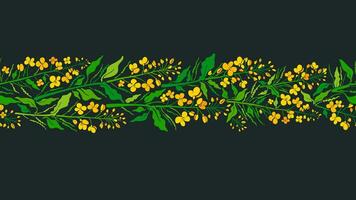 Canola color seamless pattern Vector strip, border