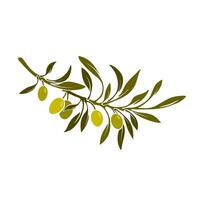 Olive antique symbol. Vector golden branch, leaves