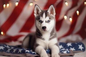 Cute siberian husky puppy with Christmas lights and American Flag on bokeh background. 4th of July Independence day . photo