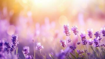 Beautiful lavender field with sunlight and beauty bokeh effect on blur background. Purple flowers garden nature landscape. AI Generated photo
