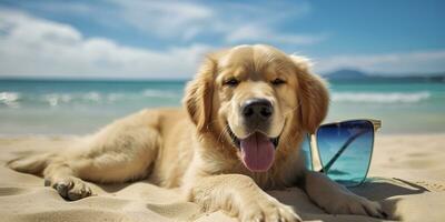 dorado perdiguero perro es en verano vacaciones a playa recurso y relajante descanso en verano playa de Hawai. ai generativo foto