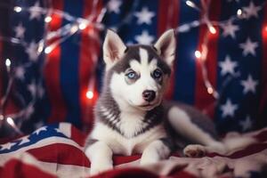 Cute siberian husky puppy with Christmas lights and American Flag on bokeh background. 4th of July Independence day . photo