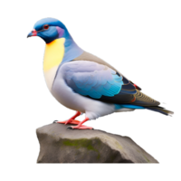 Stock Dove AI Generated png