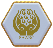 Sud asiatico associazione per regionale cooperazione, saarc bandiera nel esagono forma con oro confine, urto struttura, 3d interpretazione png