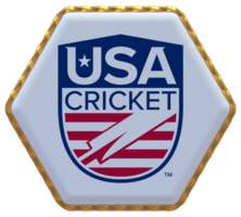 förenad stater nationell cricket team, usaca flagga i sexhörning form med guld gräns, stöta textur, 3d tolkning png