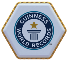 guinness mondo record bandiera nel esagono forma con oro confine, urto struttura, 3d interpretazione png