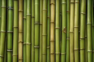 Natural Green Bamboo Texture or Pattern Background, AI Generative photo