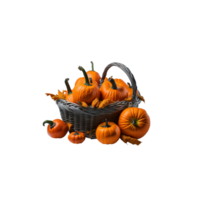 bambu korg full av UPPTAGITS organisk färsk halloween pumpa vegetabiliska ClipArt isolerat, isolerat ljuv pumpa vegetabiliska ClipArt, mogen pumpa ClipArt, pumpa korg ClipArt, höst vegetabiliska png