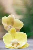 Yellow orchid flowers on wooden background. Vertical. Floral background, congratulations on birthday, international women's and mother's day, spa in tropical country photo