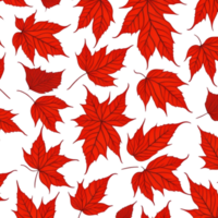 otoño hojas modelo fondo, que cae hojas patrón, minimalista otoño hojas patrón, rojo naranja hojas patrón, Víspera de Todos los Santos hojas, otoño follaje, hoja derramamiento, hoja patrones textura antecedentes png