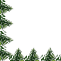 Tropical green palm leaves border frame on transparent background, foliage border background, green leaves background, green background, green leaves border, Leafy Border png