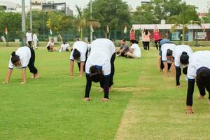 New Delhi, India, June 21, 2023 - Group Yoga exercise session for people at Yamuna Sports Complex in Delhi on International Yoga Day, Big group of adults attending yoga class in cricket stadium photo