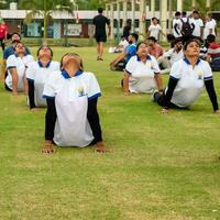 nuevo Delhi, India, junio 21, 2023 - grupo yoga ejercicio sesión para personas a yamuna Deportes complejo en Delhi en internacional yoga día, grande grupo de adultos asistiendo yoga clase en Grillo estadio foto