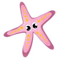 estrella de mar animal marino png