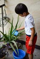 Cute 5 year old Asian little boy is watering the plant in the pots located at house balcony, Love of sweet little boy for the mother nature during watering into plants, Kid Planting photo