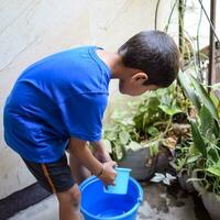 Cute 5 year old Asian little boy is watering the plant in the pots located at house balcony, Love of sweet little boy for the mother nature during watering into plants, Kid Planting photo